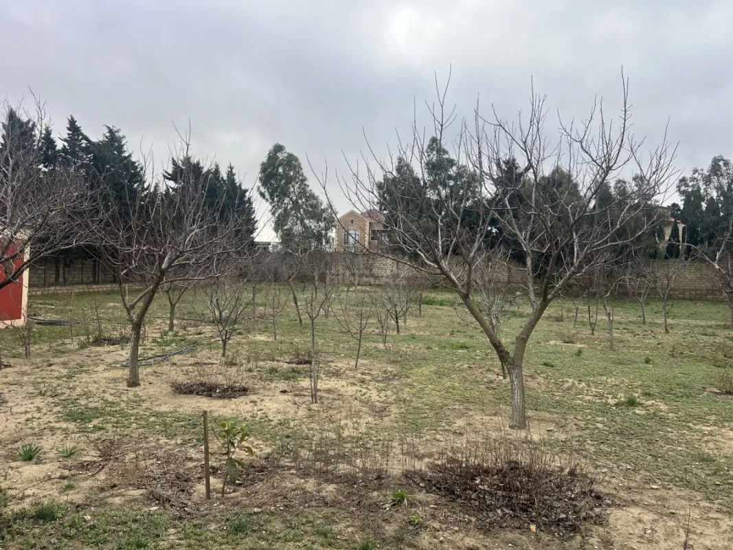 Satılır torpaq sahəsi 33.1 m²