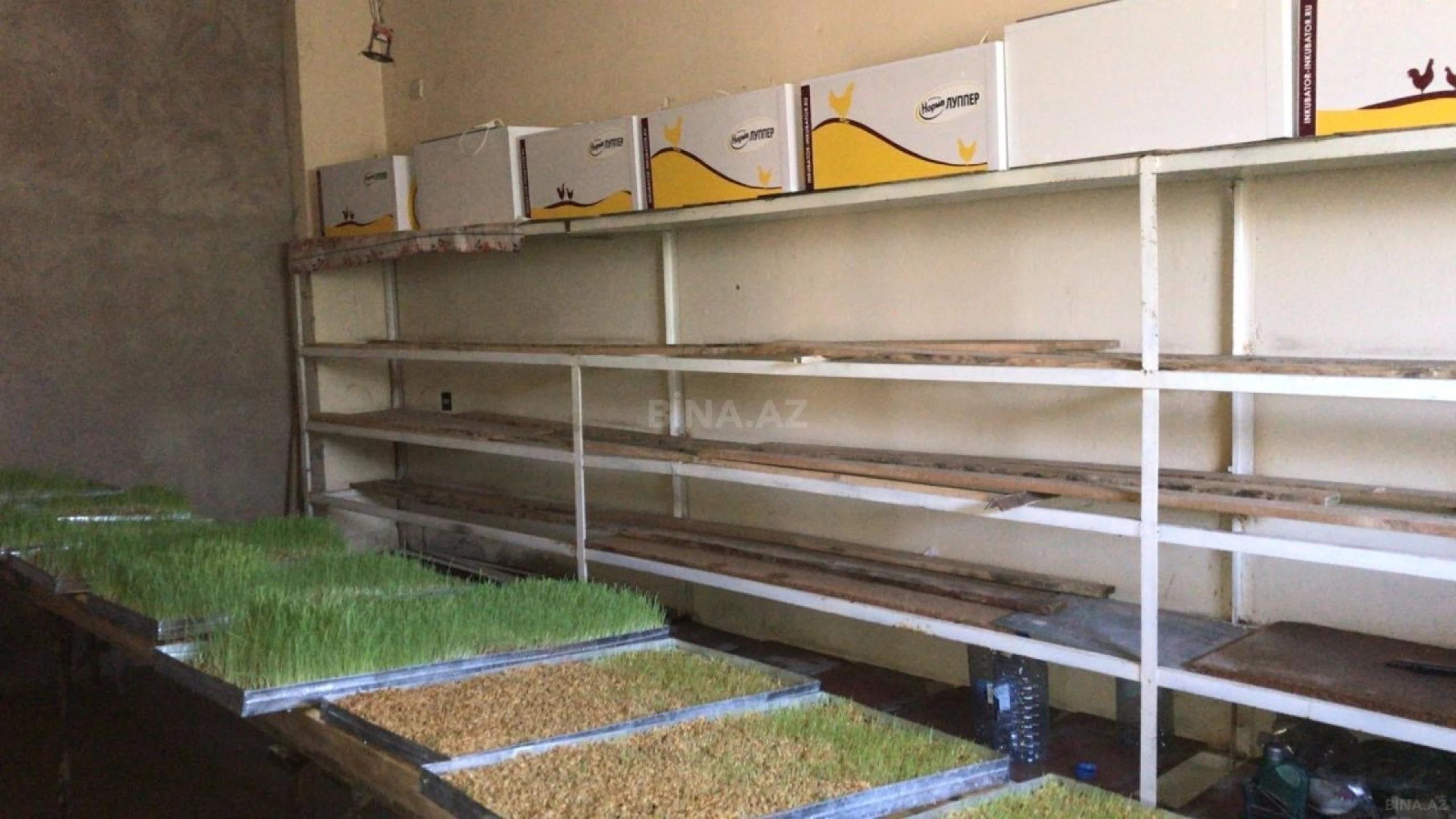 Satılır obyekt 20000 m²