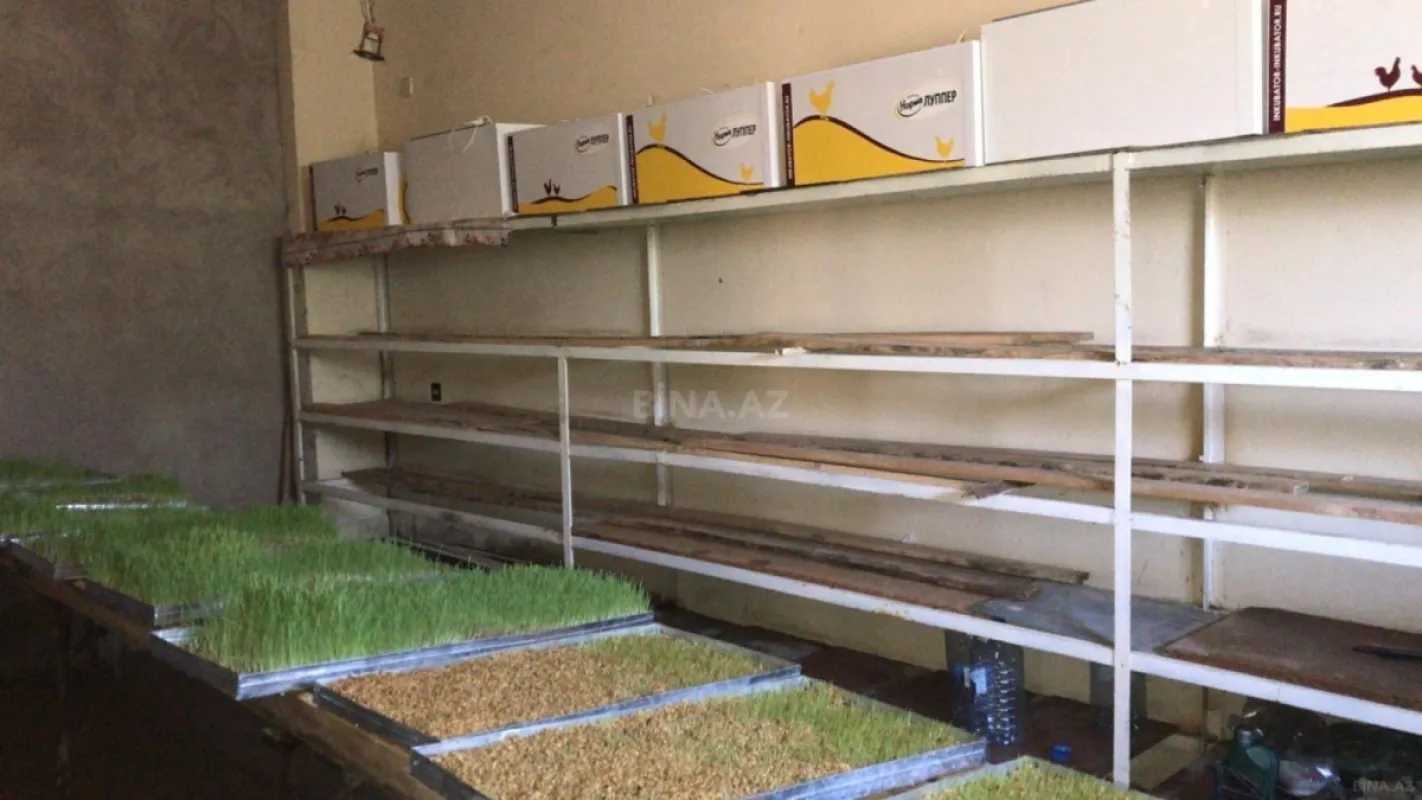 Satılır obyekt 20000 m²