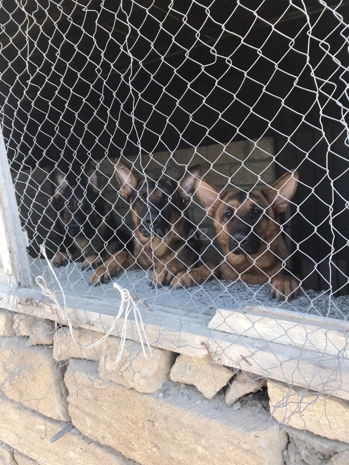 Satılır obyekt 20000 m²