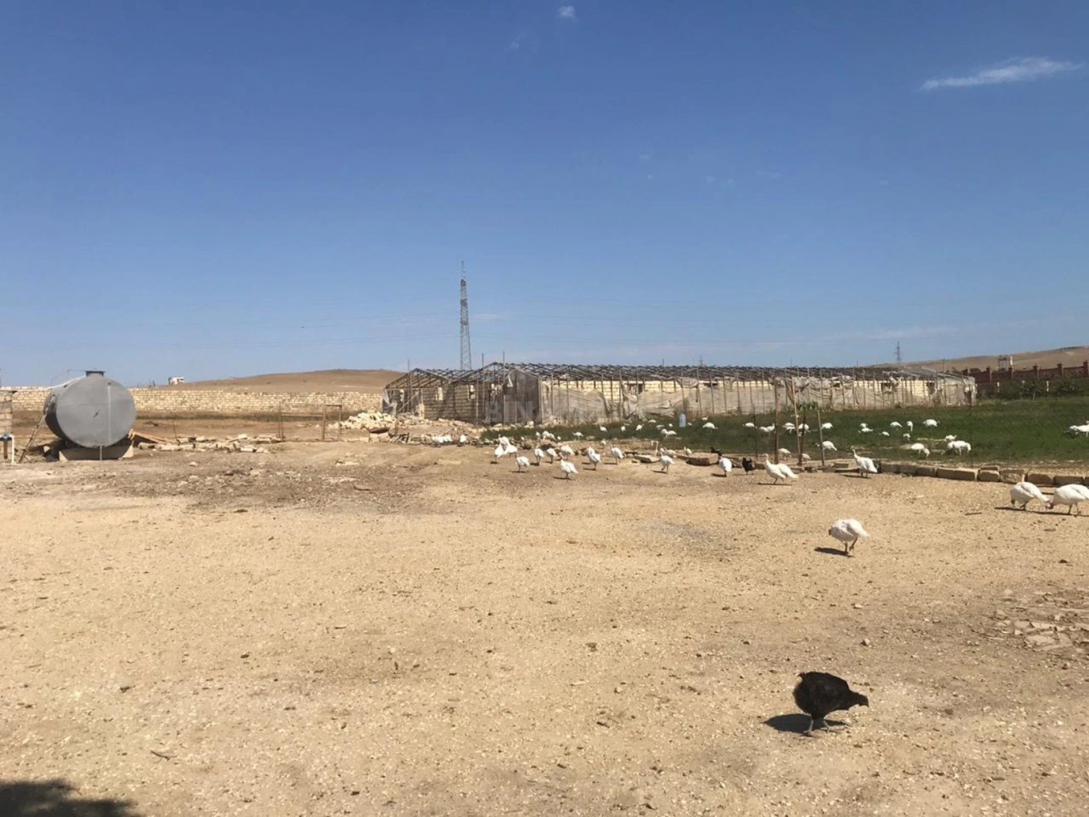 Satılır obyekt 20000 m²