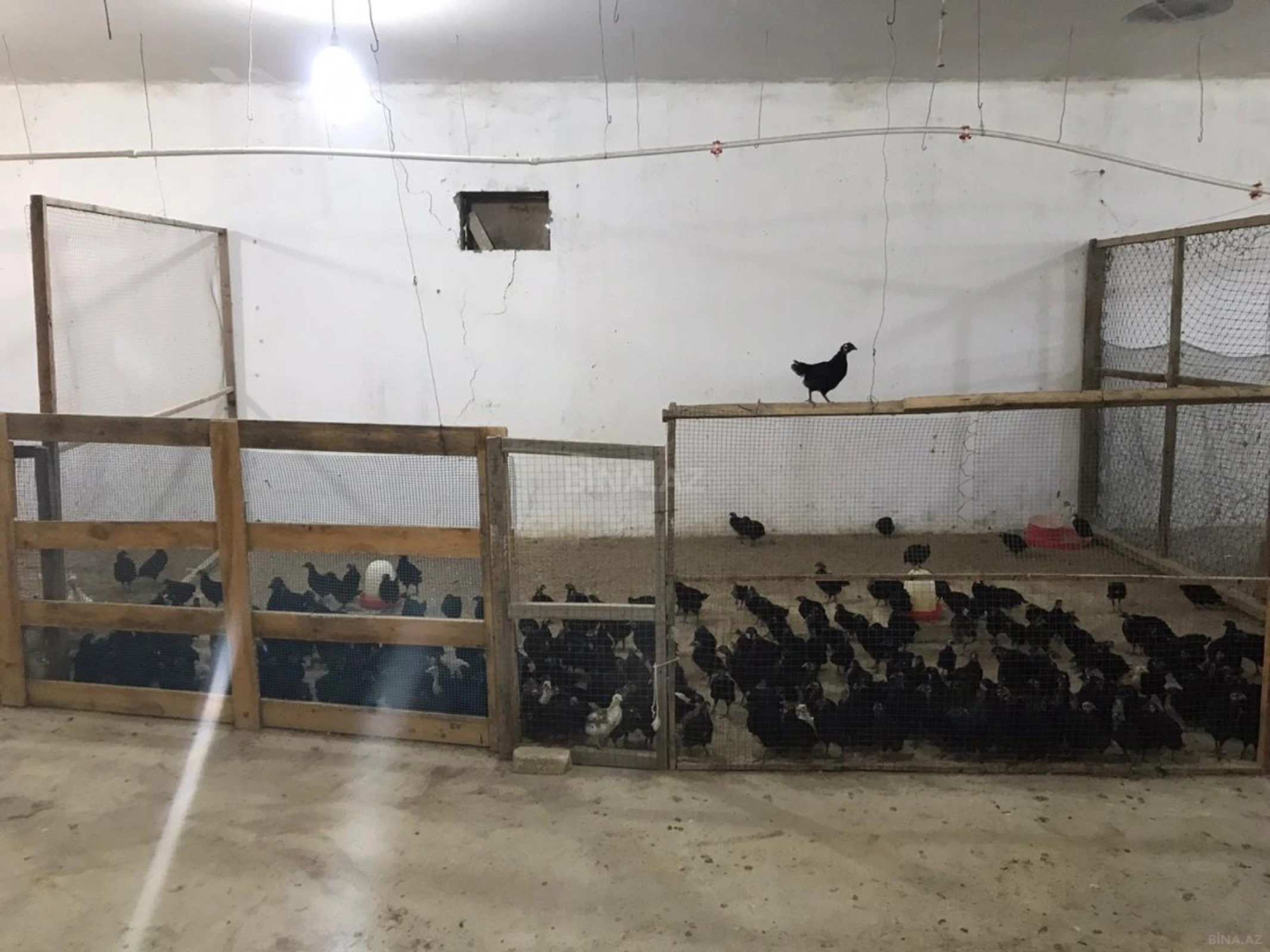 Satılır obyekt 20000 m²