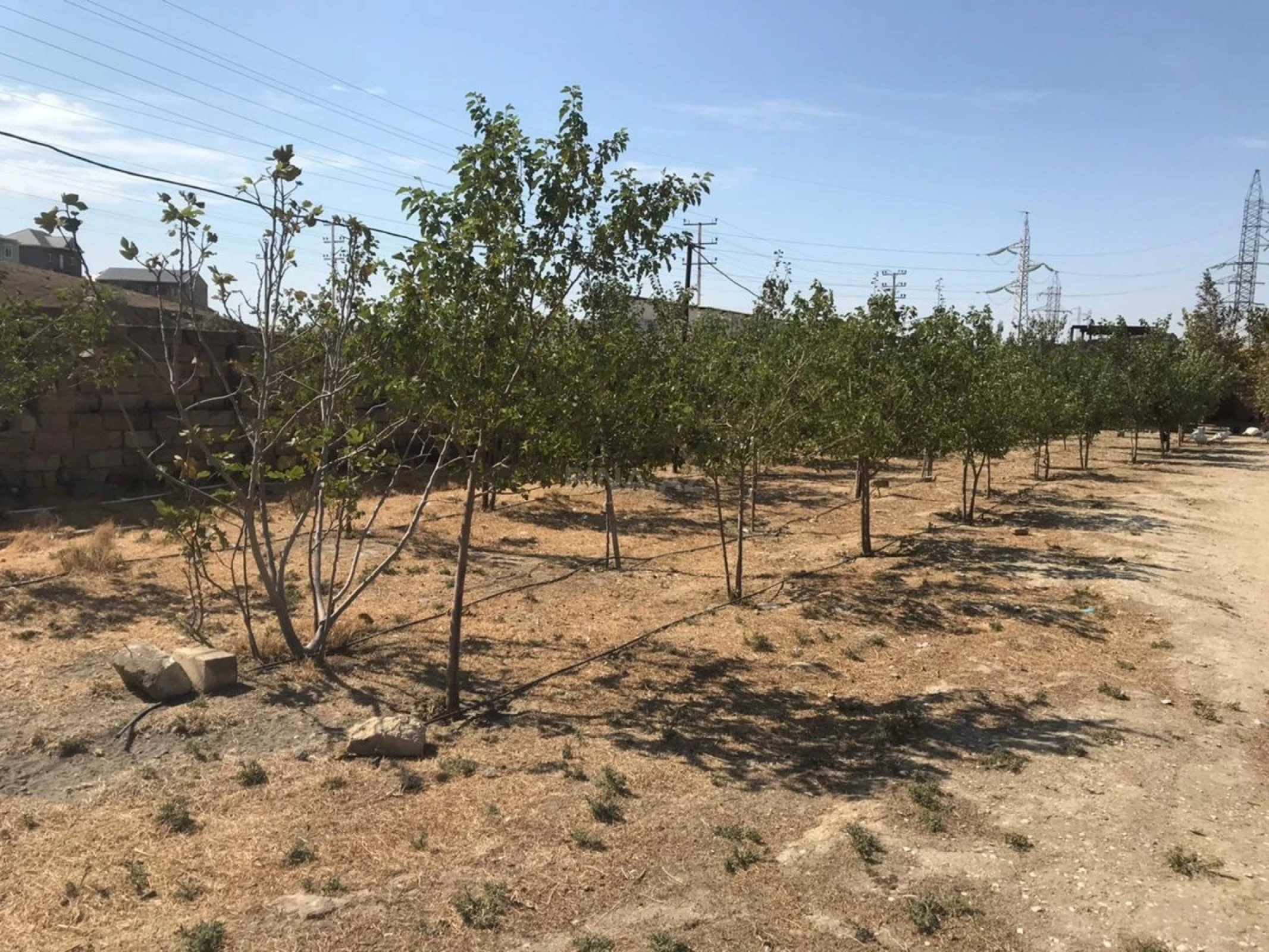 Satılır obyekt 20000 m²