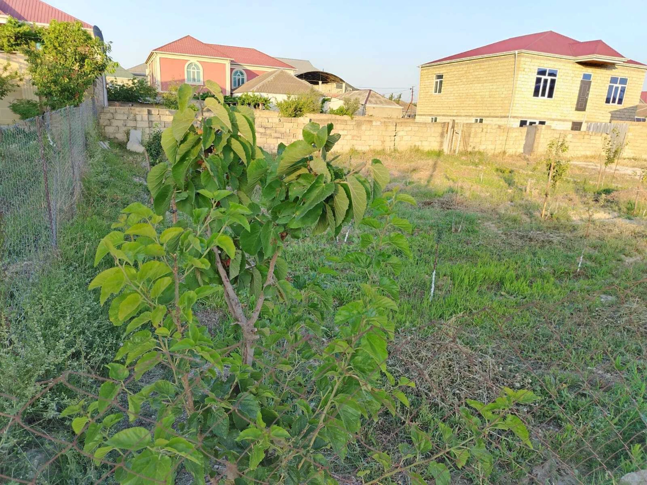 Satılır torpaq sahəsi 5 m²