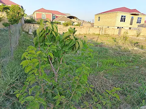 Satılır torpaq sahəsi 5 m²