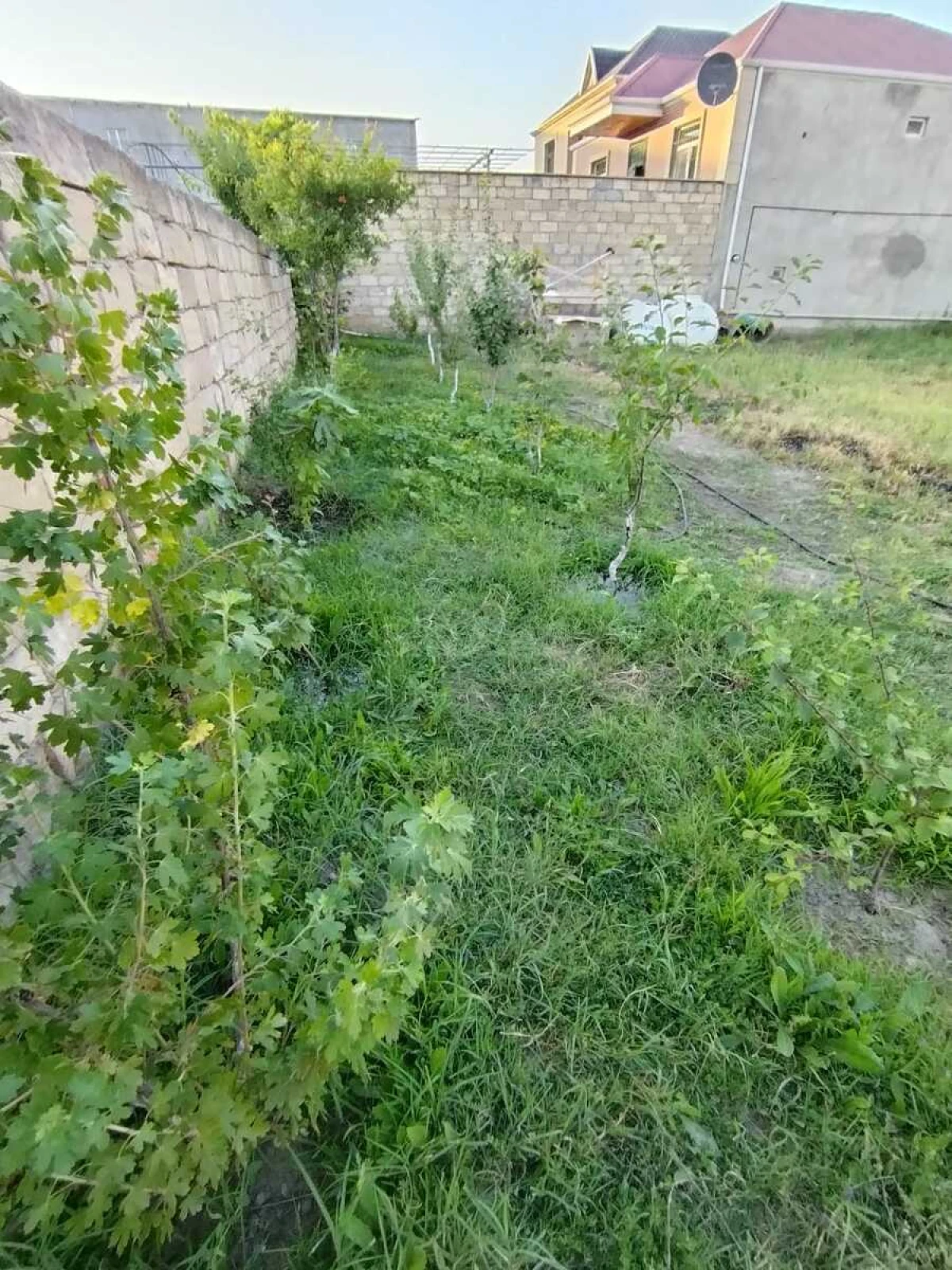 Satılır torpaq sahəsi 5 m²