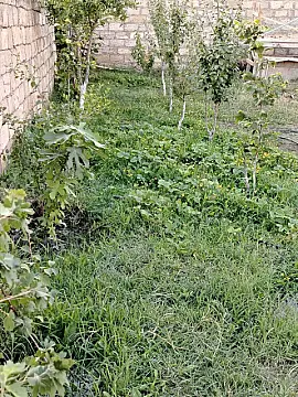 Satılır torpaq sahəsi 5 m²