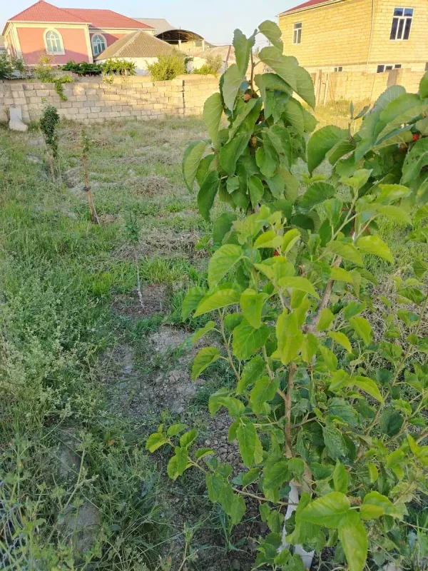 Satılır torpaq sahəsi 5 m²