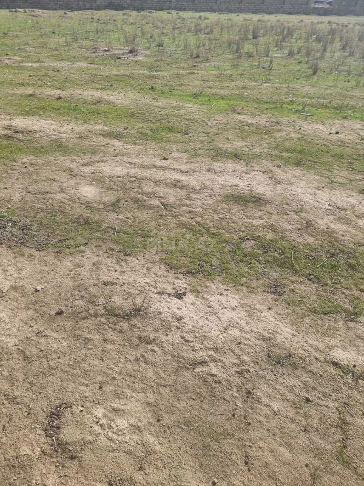 Satılır torpaq sahəsi 20 m²