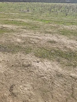 Satılır torpaq sahəsi 20 m²