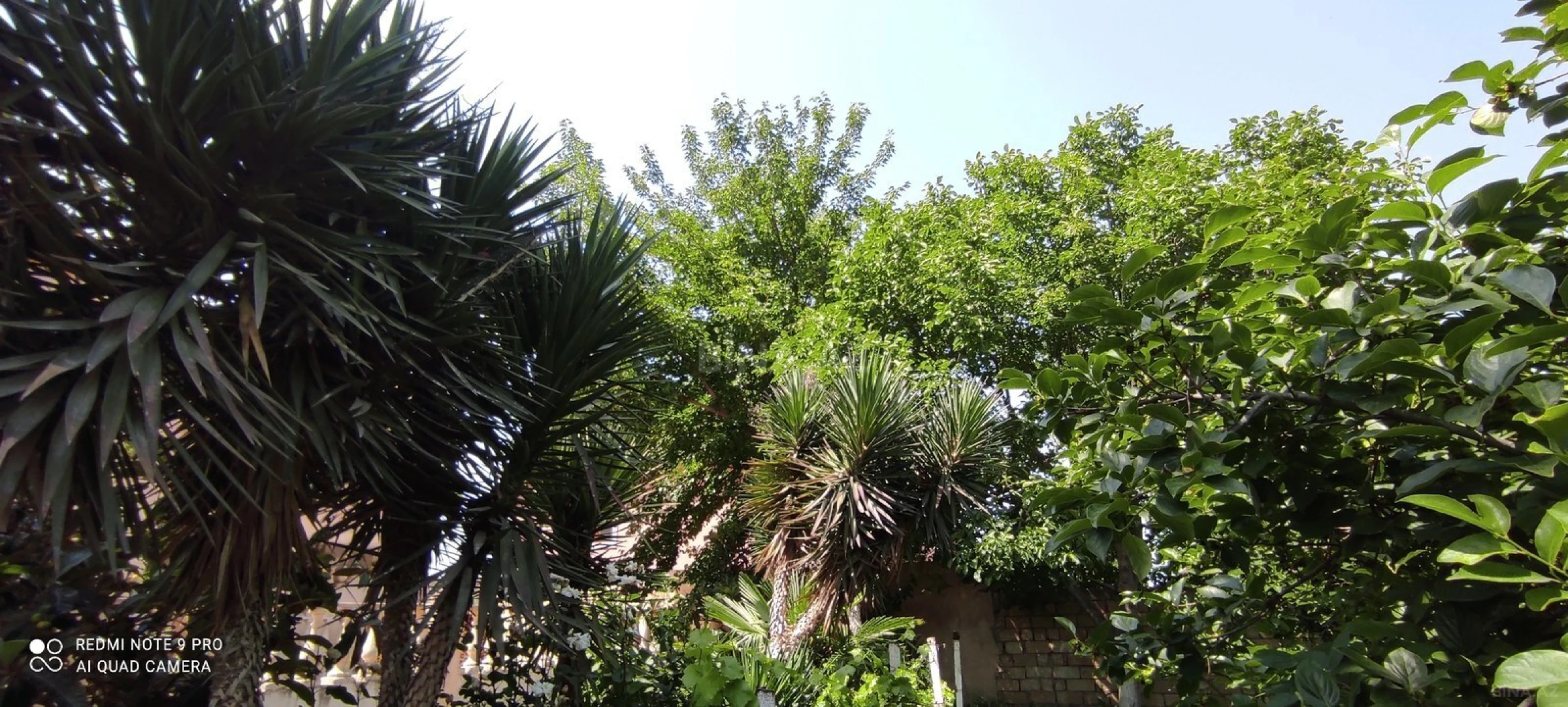 Satılır 6 otaqlı həyət evi 200 m²