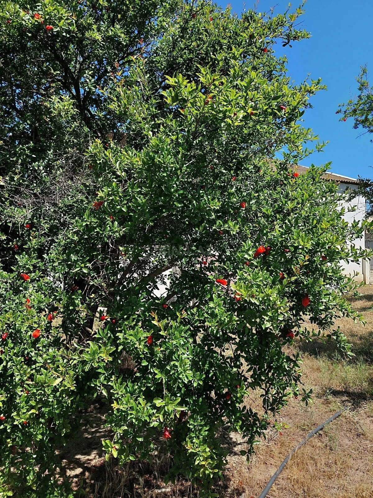 Satılır torpaq sahəsi 16 m²