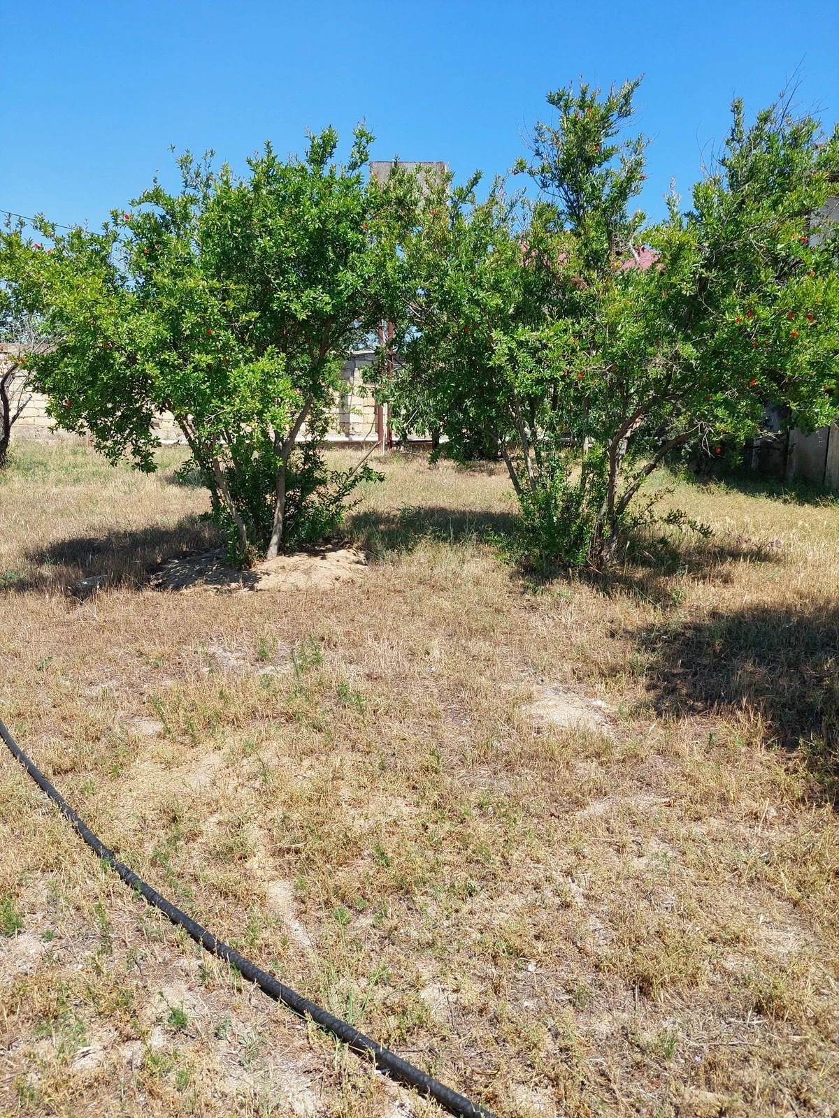 Satılır torpaq sahəsi 16 m²