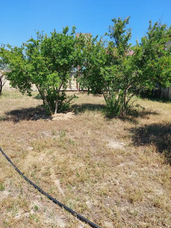 Satılır torpaq sahəsi 16 m²