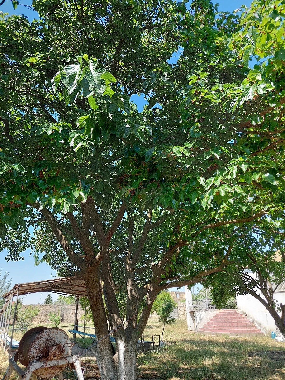 Satılır torpaq sahəsi 16 m²