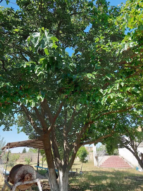 Satılır torpaq sahəsi 16 m²