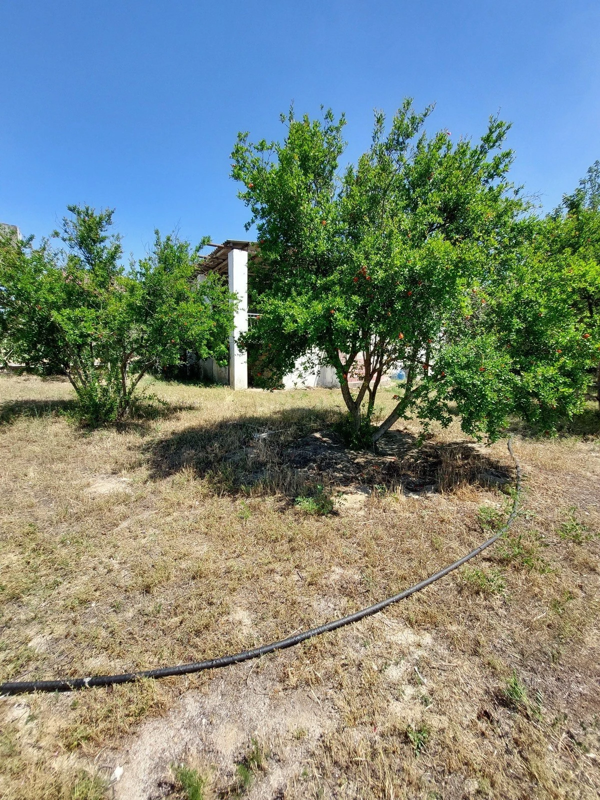 Satılır torpaq sahəsi 16 m²