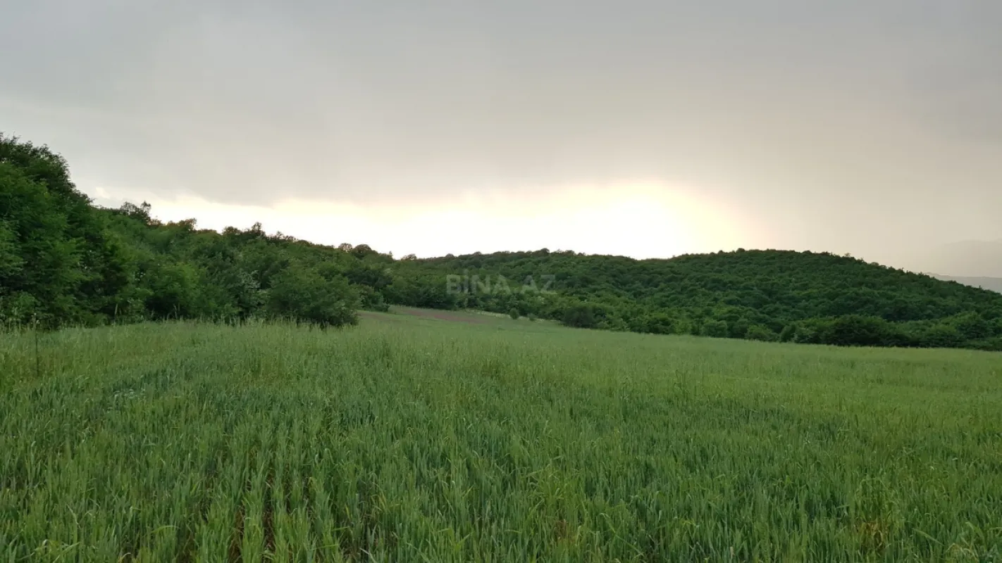 Satılır torpaq sahəsi 277 m²