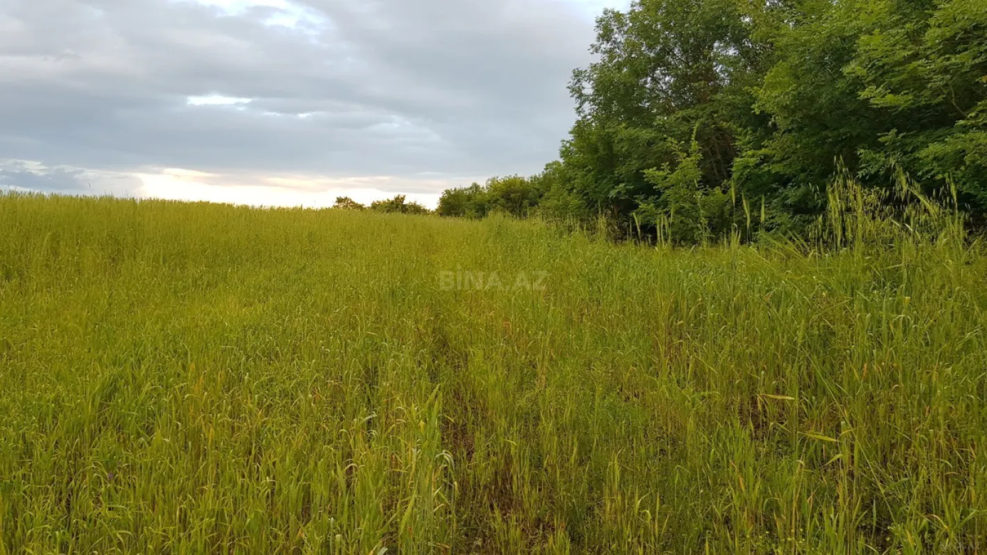 Satılır torpaq sahəsi 277 m²