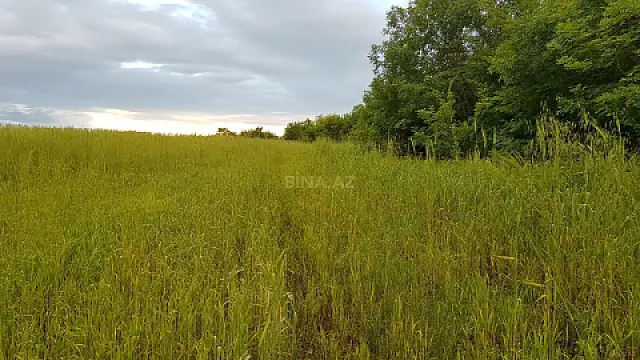 Satılır torpaq sahəsi 277 m²