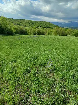 Satılır torpaq sahəsi 277 m²