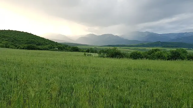 Satılır torpaq sahəsi 277 m² — İsmayıllı 277.00 m²