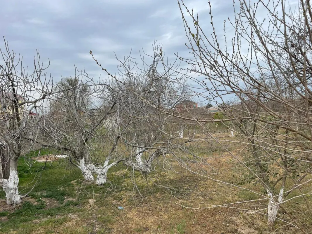 Satılır 5 otaqlı həyət evi 170 m²