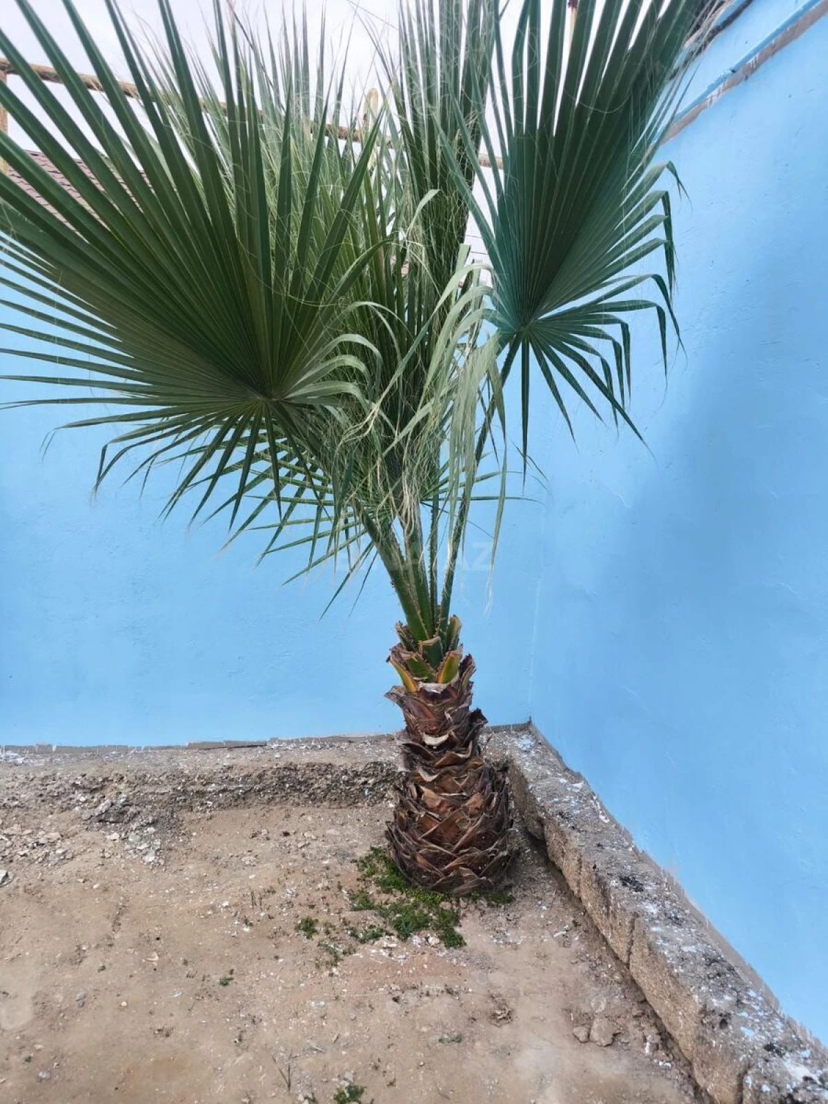 Satılır 3 otaqlı həyət evi 57.1 m²