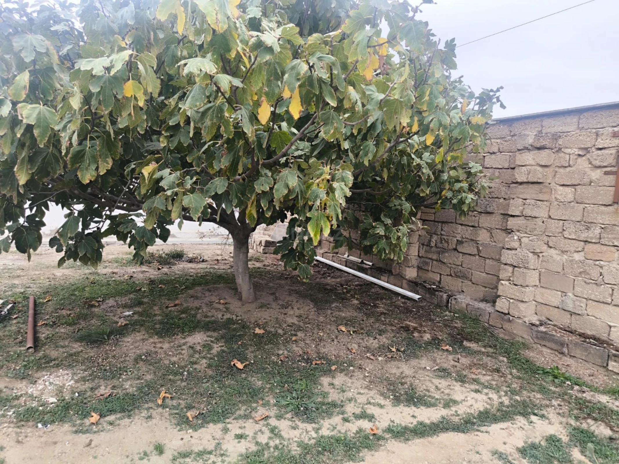 Satılır 3 otaqlı həyət evi 57.1 m²