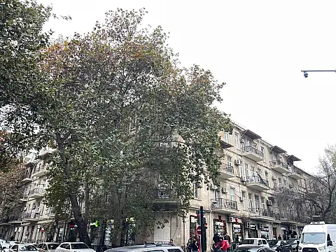 Kirayə verilir obyekt 155 m² — Bakı 155.00 m²