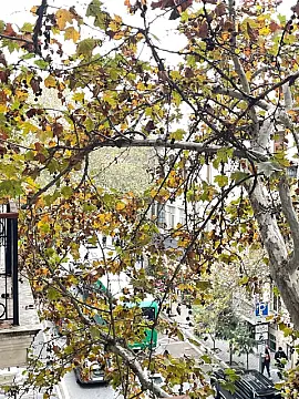 Kirayə verilir obyekt 155 m²