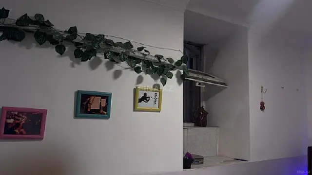 Kirayə verilir obyekt 70 m²