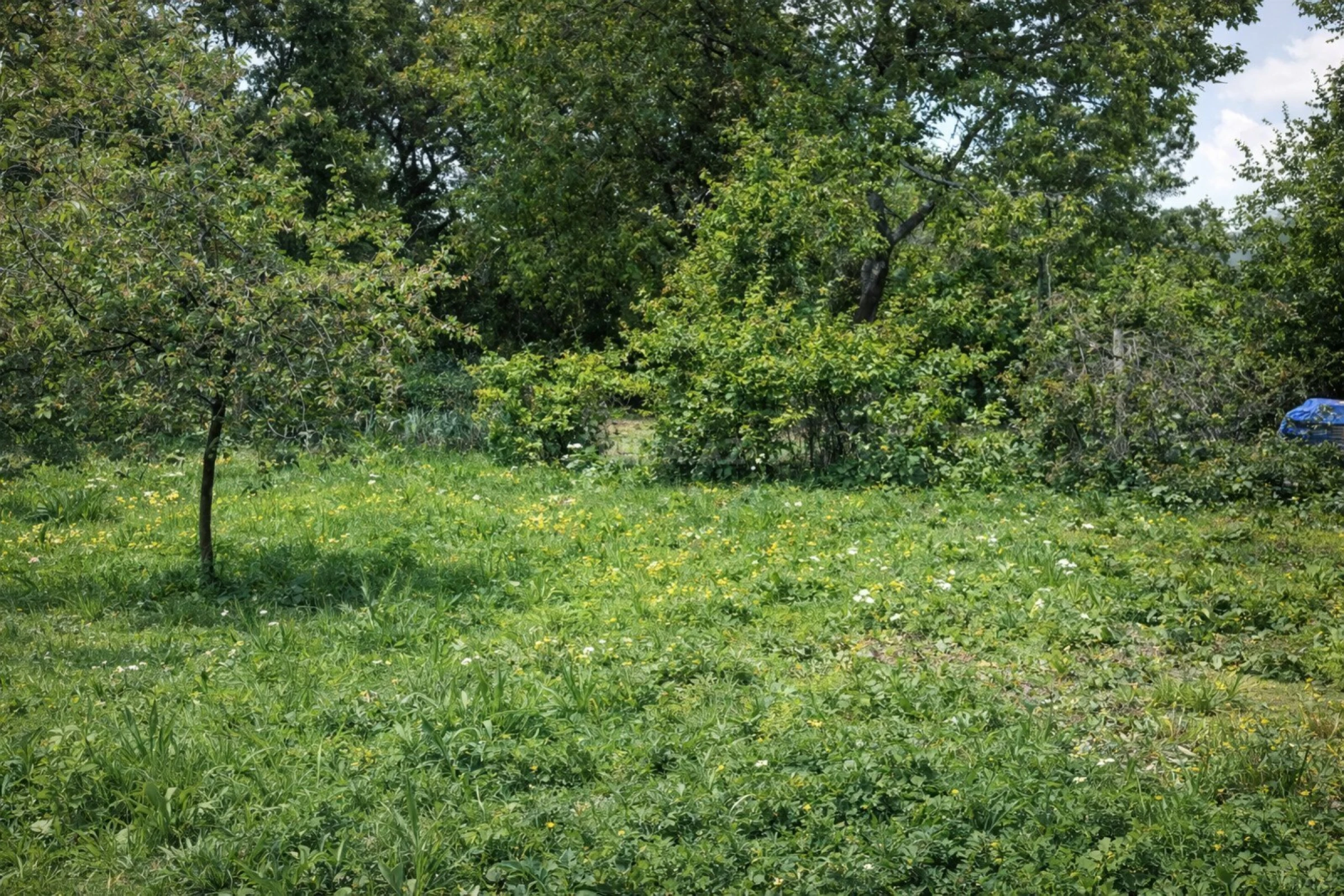 Satılır torpaq sahəsi 12 m²