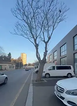 Satılır obyekt 323 m²