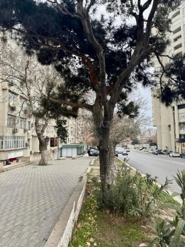 Satılır 2 otaqlı mənzil 60.7 m²