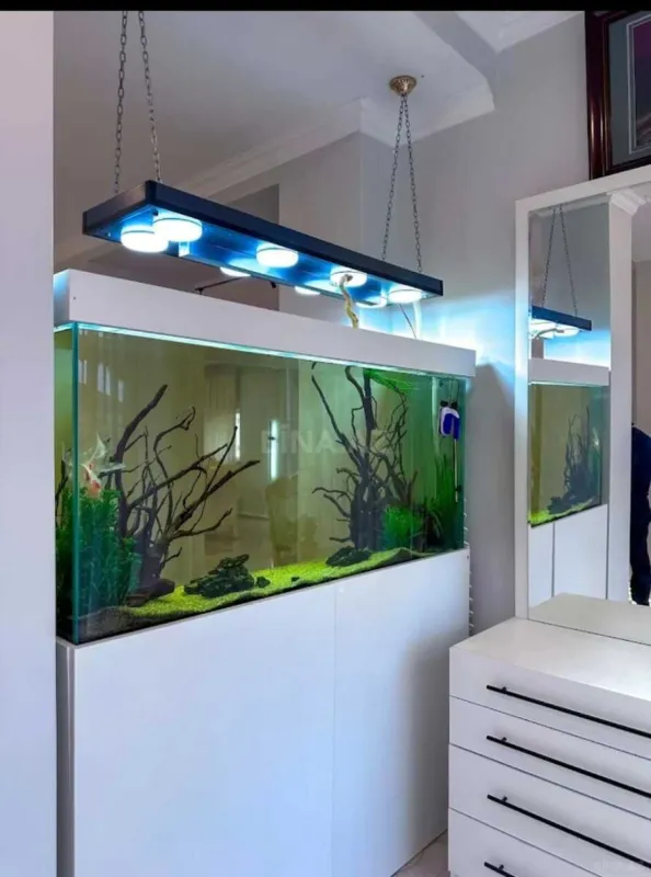 Kirayə verilir 6 otaqlı həyət evi 400 m²