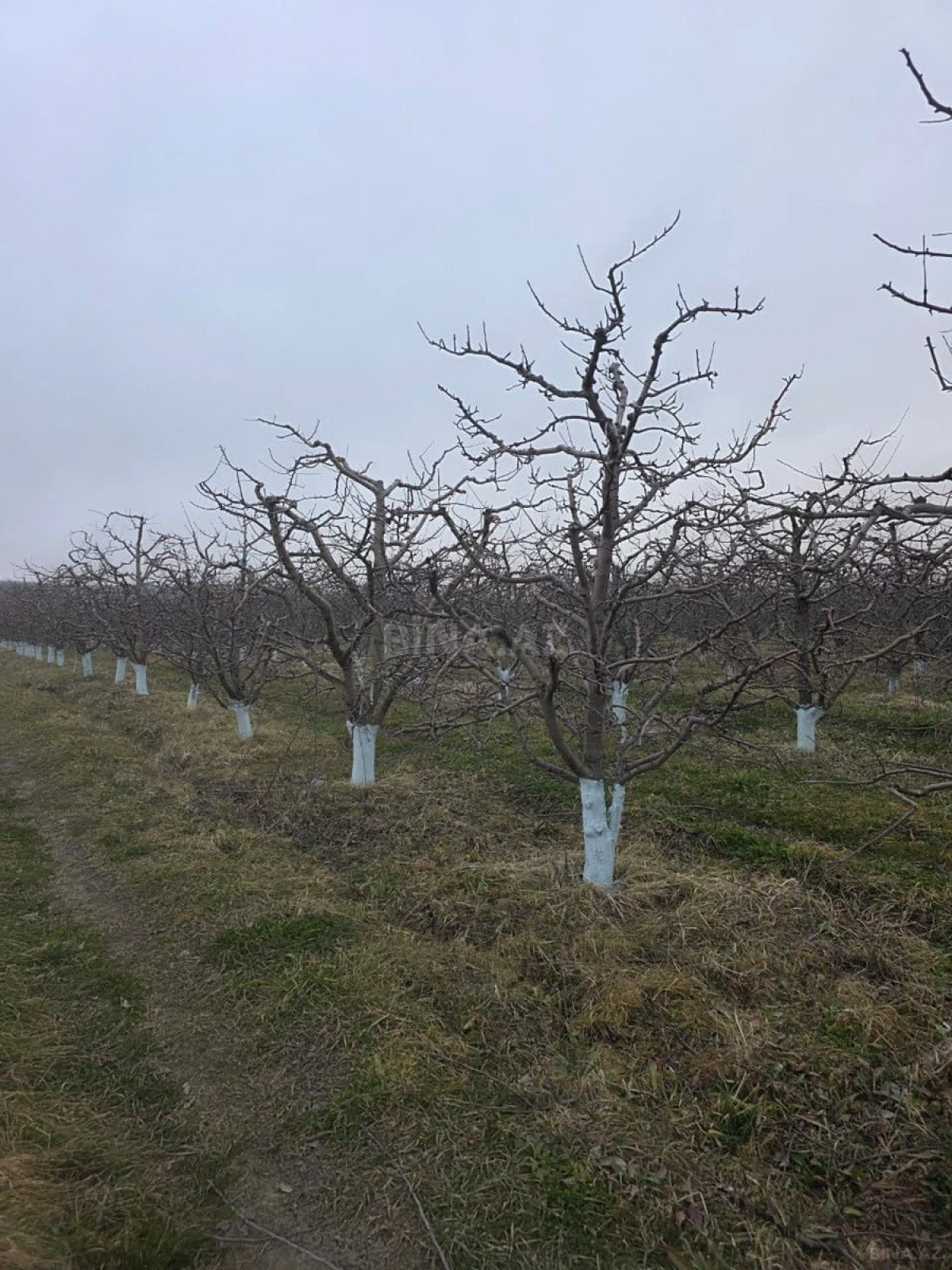 Satılır torpaq sahəsi 1500 m²