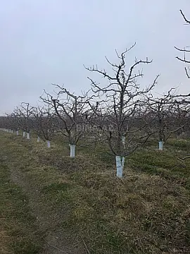 Satılır torpaq sahəsi 1500 m²