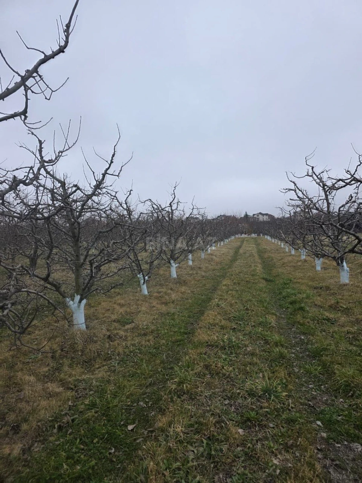 Satılır torpaq sahəsi 1500 m²