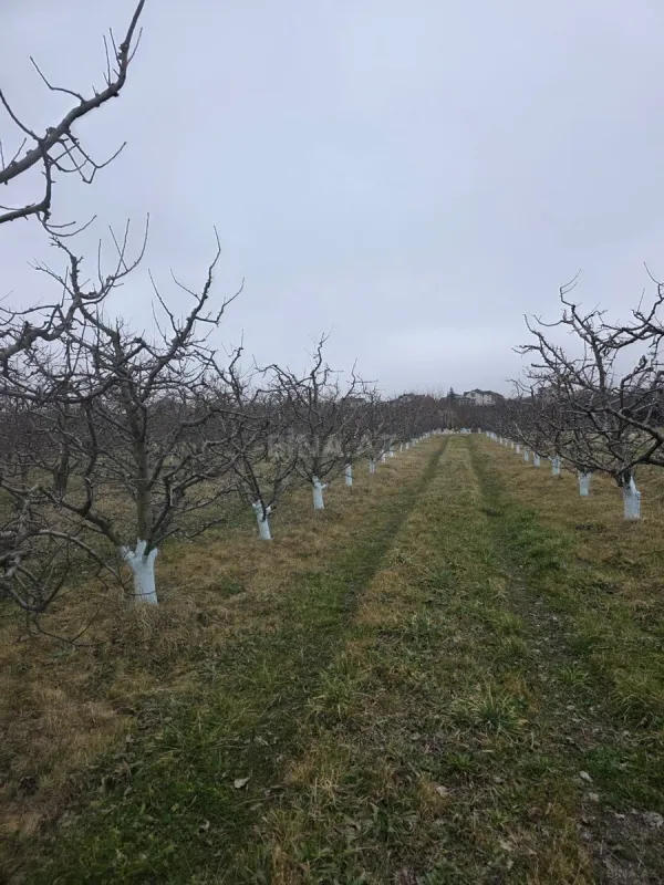 Satılır torpaq sahəsi 1500 m²