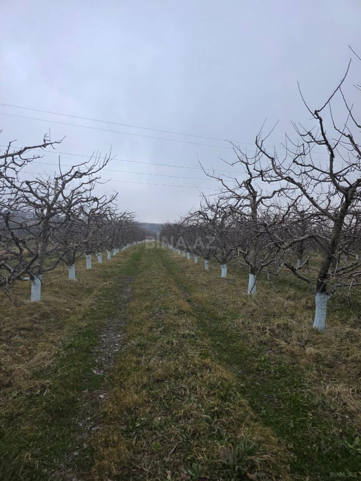 Satılır torpaq sahəsi 1500 m²