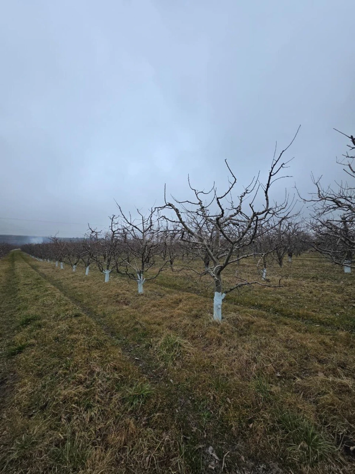 Satılır torpaq sahəsi 1500 m²