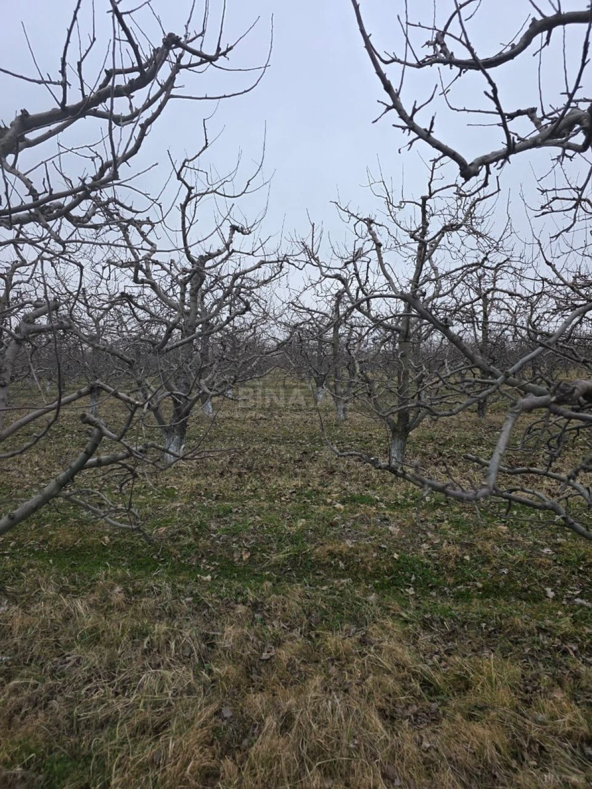 Satılır torpaq sahəsi 1500 m²