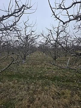 Satılır torpaq sahəsi 1500 m²