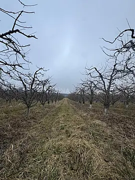 Satılır torpaq sahəsi 1500 m²