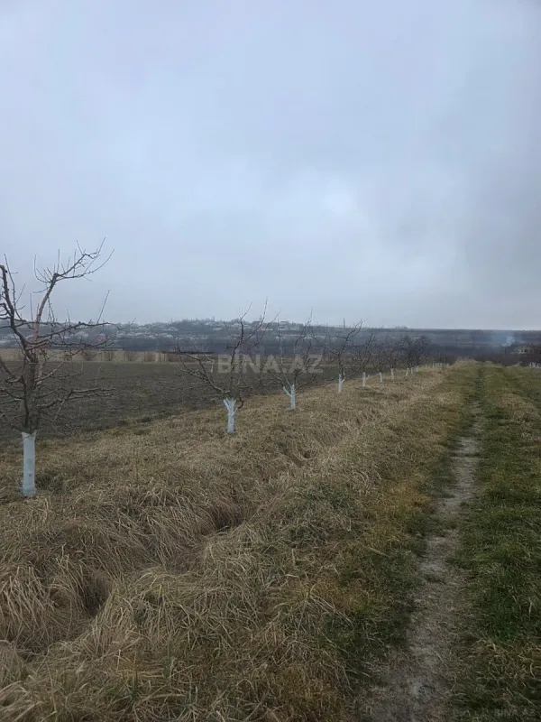 Satılır torpaq sahəsi 1500 m²