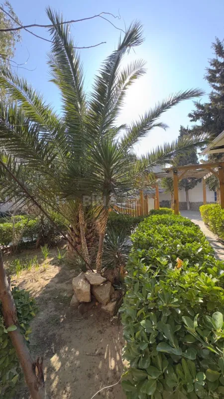 Satılır obyekt 2000 m²