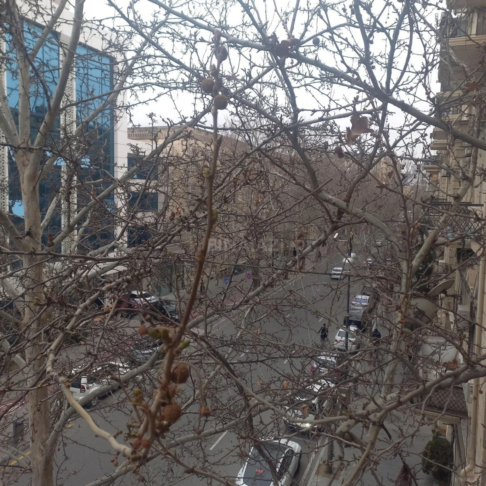 Kirayə verilir 1 otaqlı mənzil 28 m²