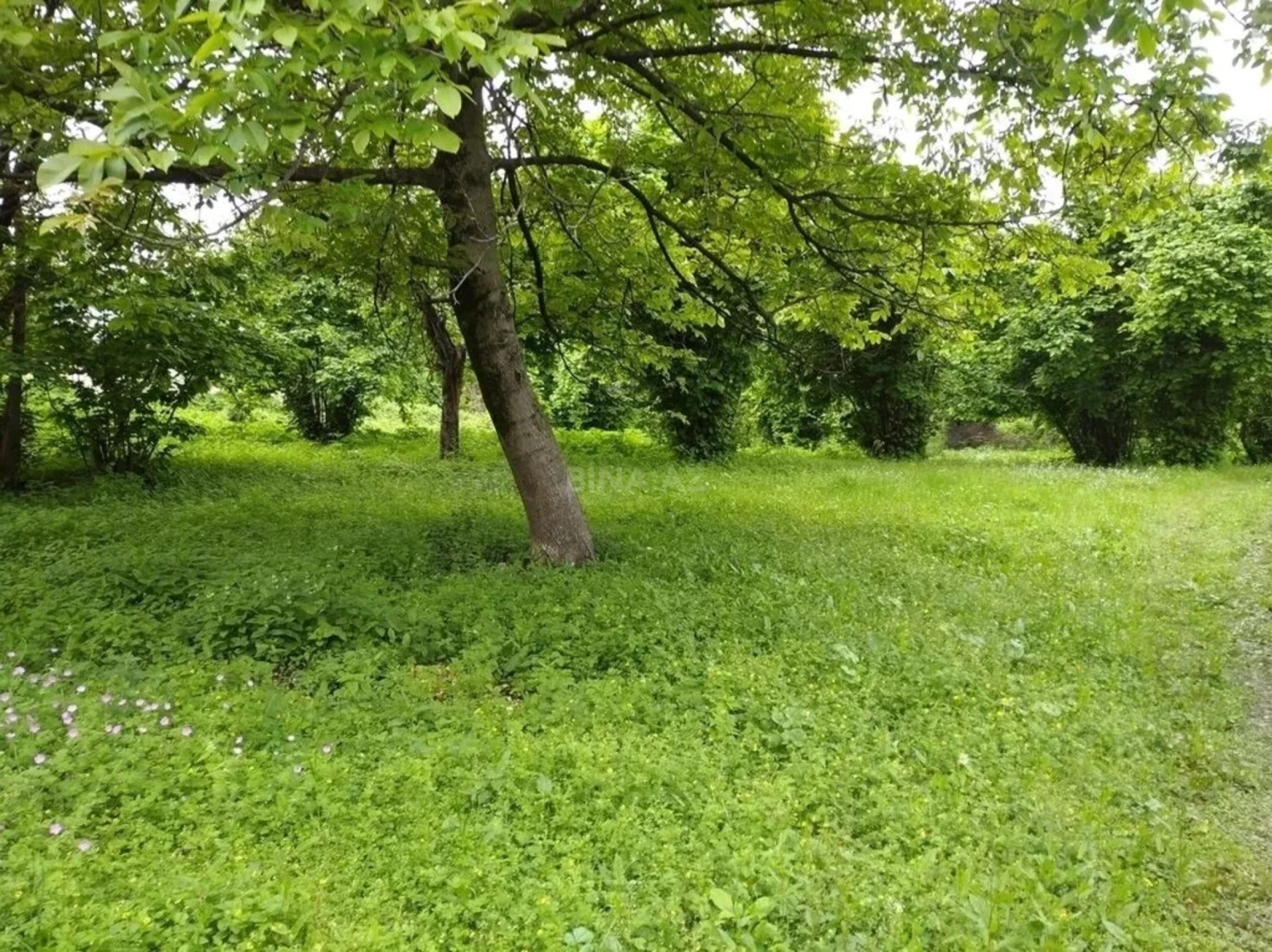 Satılır torpaq sahəsi 12 m²