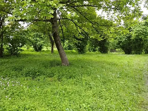 Satılır torpaq sahəsi 12 m²